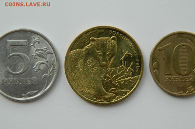 Польша 2 злотых 2011 г. (Юбилейная) Барсук до 21.07.24 - DSCN9611.JPG