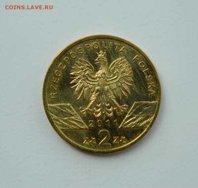 Польша 2 злотых 2011 г. (Юбилейная) Барсук до 21.07.24 - DSCN9613.JPG