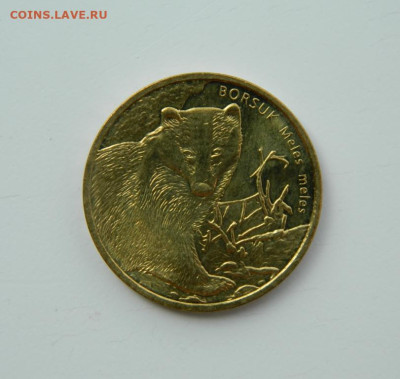 Польша 2 злотых 2011 г. (Юбилейная) Барсук до 21.07.24 - DSCN9612.JPG