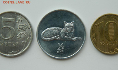 2 чон 2002 г. (Юбилейная) Кошка до 21.07.24 - DSCN9673.JPG