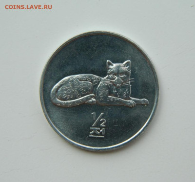 2 чон 2002 г. (Юбилейная) Кошка до 21.07.24 - DSCN9674.JPG