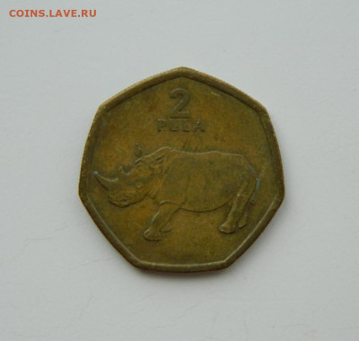 Ботсвана 2 пула 2004 г. (Фауна) до 21.07.24 - DSCN9646.JPG