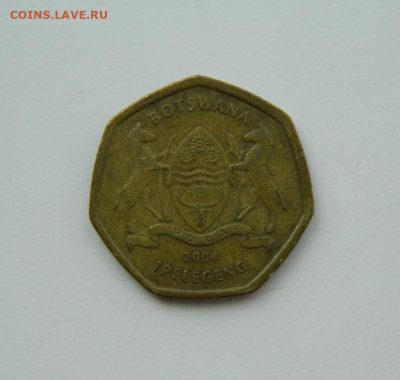 Ботсвана 2 пула 2004 г. (Фауна) до 21.07.24 - DSCN9647.JPG