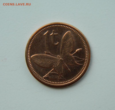 Папуа-Новая Гвинея 1 тойя 2004 г. (Фауна) до 21.07.24 - DSCN9606.JPG