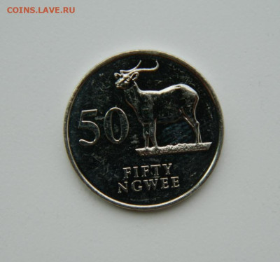 Замбия 50 нгве 1992 г. (Фауна) до 21.07.24 - DSCN9501.JPG