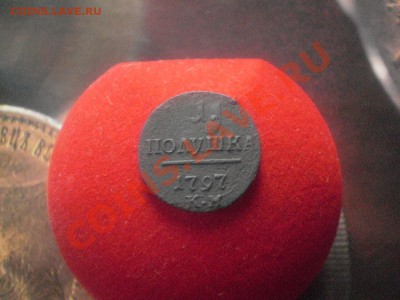 Полушка 1797км. - P12o4.JPG