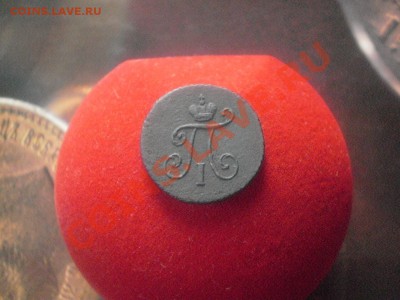 Полушка 1797км. - P175.JPG