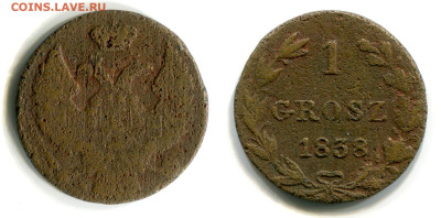 1 грош 1838 MW редкая до 23 июля 2024 - 1 grosz 1838 MW