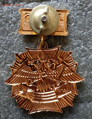 Знак ДМБ 2010 с закруткой, до 23.07 в 22.00 по МСК - IMG_20240716_183358