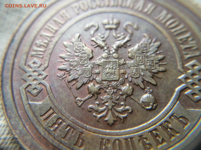 5копеек 1911г. СПБ, сохран, короткий, сегодня. - 17212805815306745229782467440714