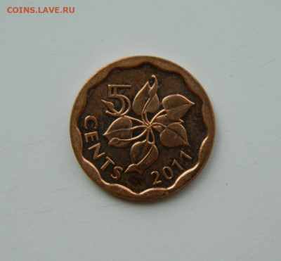 Свазиленд 5 центов 2011 г.  до  24.07.24 - DSCN9693.JPG