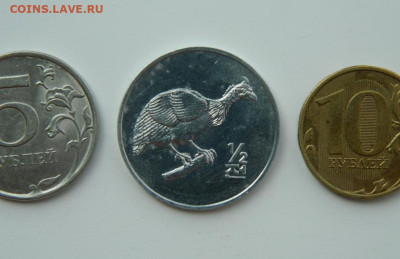 2 чон 2002 г. (Юбилейная) Птица до 24.07.24 - DSCN9615.JPG