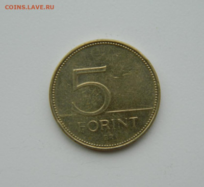 Венгрия 5 форинтов 2013 г. (Фауна) до 24.07.24 - DSCN9496.JPG