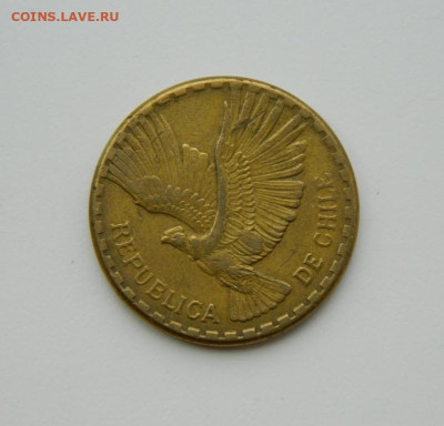 Чили 10 сентесимо 1966 г. (Кондор). до 24.07.24 - DSCN9491.JPG