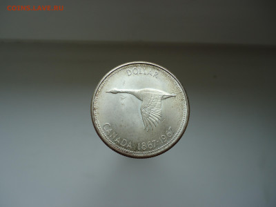 Елизавета - II  Доллар Канада 1867 - 1967 года  Ag - 800 - 12.JPG