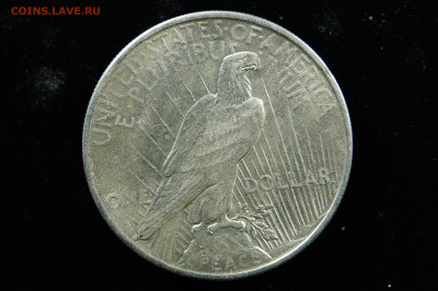 1 доллар, мирный 1924 Америка, США пис, peace. до 27.07 - _DSC2324.JPG
