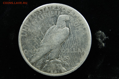 1 доллар, мирный 1922 Америка, США пис, peace. до 27.07 - _DSC2247.JPG
