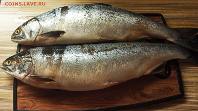 Кто что готовит? Фото-отчёты. - 1721647330906