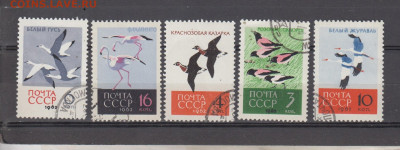 СССР 1962 птицы 5м до 29 07 - 46