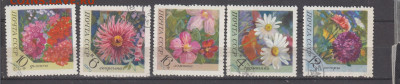 СССР 1970 цветы 5м до 28 07 - 51