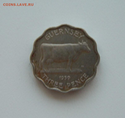 Гернси 3 пенса 1959 г. (Фауна)  до 29.07.24 - DSCN9936.JPG