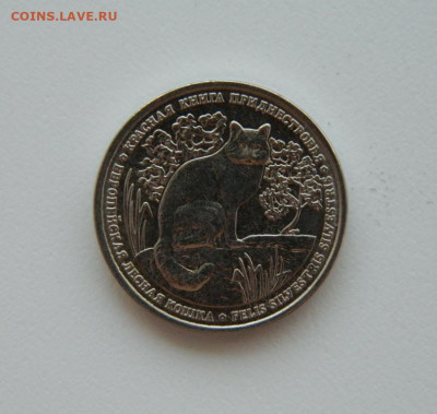 Приднестровье 1 рубль 2020 г. (Кошка) Юбилейная  до 31.07.24 - DSCN9964.JPG