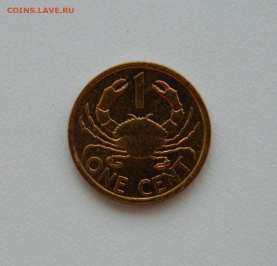 Сейшельские о-ва 1 цент 2012 г. (Краб)  до 31.07.24 - DSCN9969.JPG