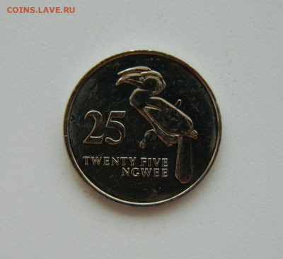 Замбия 25 нгве 1992 г. (Фауна) до 31.07.24 - DSCN0167.JPG