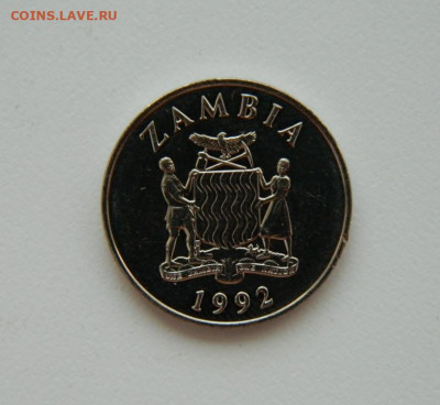 Замбия 25 нгве 1992 г. (Фауна) до 31.07.24 - DSCN0168.JPG