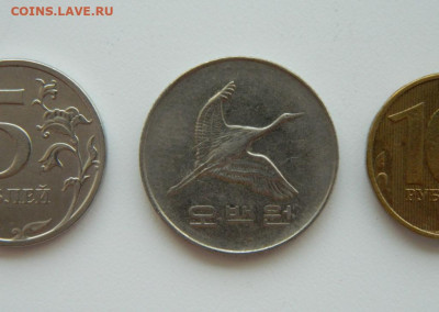 Южная Корея 500 вон 2006 г. (Фауна) до 31.07.24 - DSCN0149.JPG