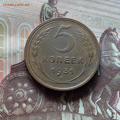 5 копеек 1931. До 31.07.24 в 22.00 - 20240726_131136