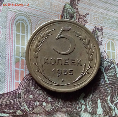 5 копеек 1955. До 31.07.24 в 22.00 - 20240726_133100