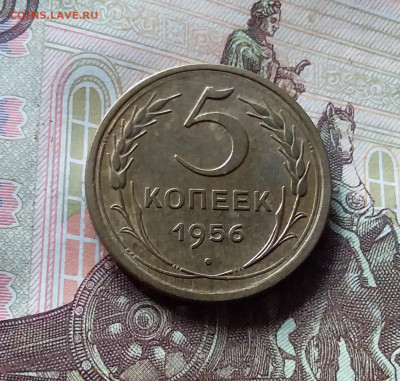 5 копеек 1956. До 31.07.24 в 22.00 - 20240726_133347