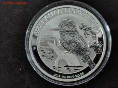 2019 Кукабарра Австралия 1 доллар 1 унция до 29.07.24 22:00 - IMG_20240726_175208