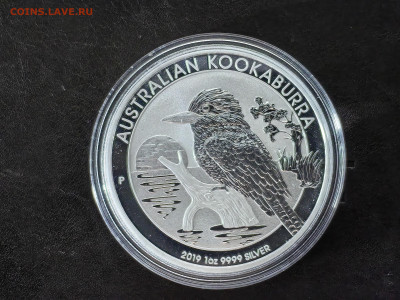 2019 Кукабарра Австралия 1 доллар 1 унция до 29.07.24 22:00 - IMG_20240726_180026