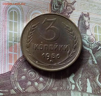 3 копейки 1956. До 31.07.24 в 22.00 - 20240726_212106