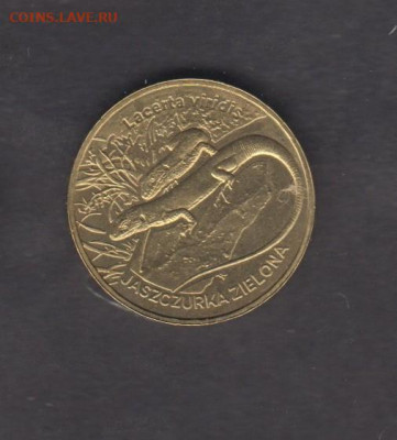 Польша 2009 2зл зеленая ящерица  до 01 08 - 34