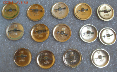 шт - SDC18336.JPG