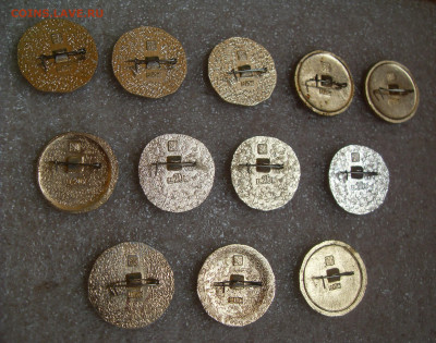 шт - SDC18318.JPG