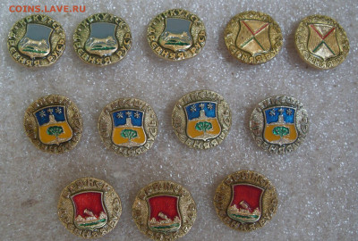 шт - SDC18313.JPG