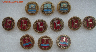 шт - SDC18379.JPG