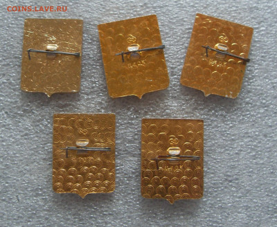 шт - SDC18227.JPG