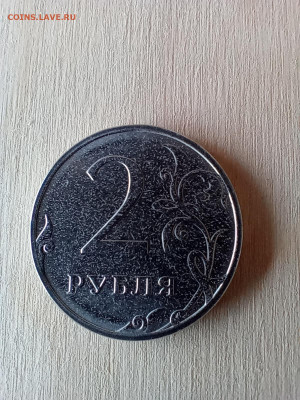 Монеты 2024 года (треп) - IMG_20240728_111414