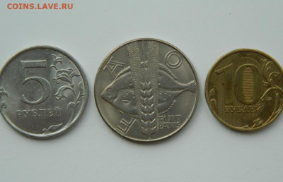 Польша 10 злотых 1971 г. (Юбилейная) Фауна до 04.08.24 - DSCN9667.JPG