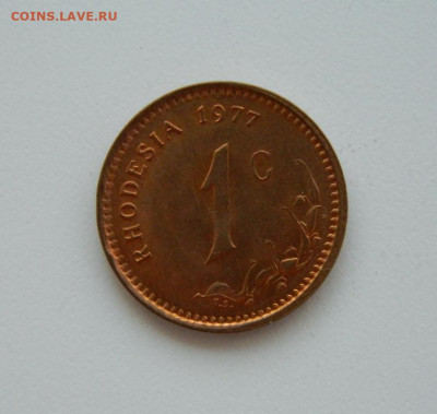 Британская Родезия 1 цент 1977 г. до 04.08.24 - DSCN9935.JPG