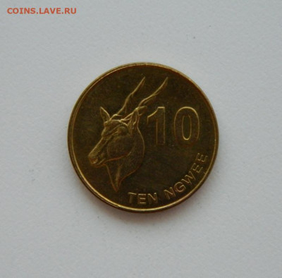 Замбия 10 нгве 2012 г.(Фауна) до 04.08.24 - DSCN9942.JPG