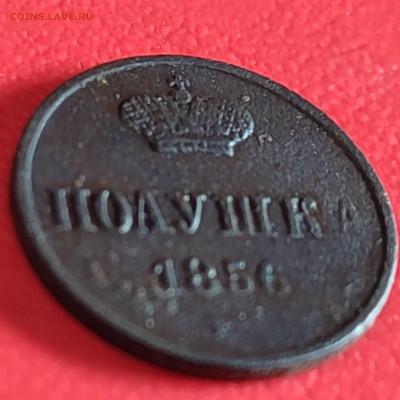 Полушка 1856 г ЕМ до 03.09.24г 22-00 МСК - IMG_20240729_231009