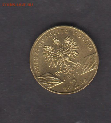 Польша 2011 2зл барсук до 04 08 - 37а