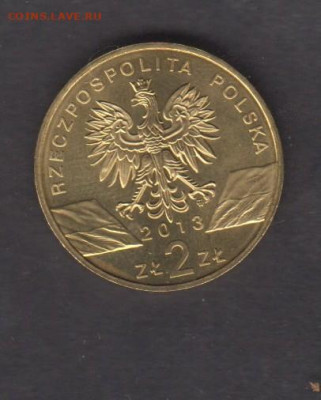 Польша 2013 2зл зубр до 04 08 - 38а
