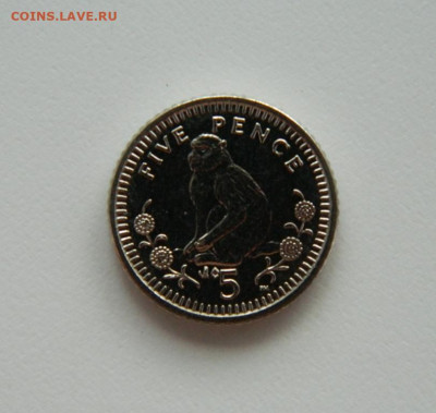 Гибралтар 5 пенсов 2003 г. (Фауна) до 04.08.24 - DSCN0320.JPG